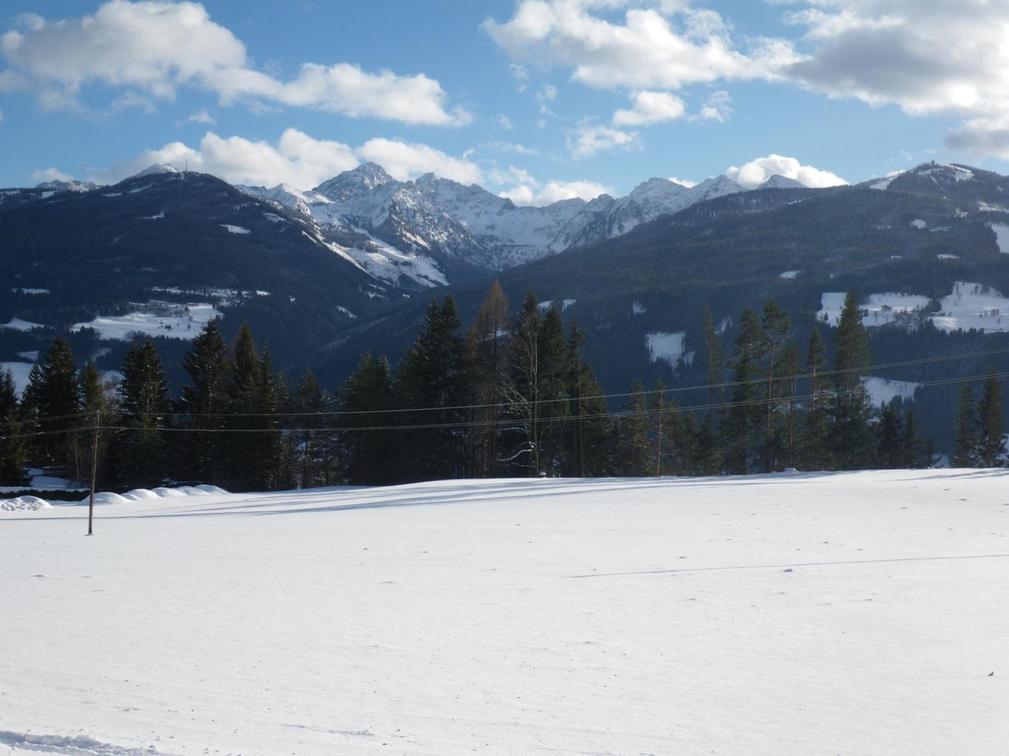 Austrian Alpine Apartments Ramsau am Dachstein Kültér fotó